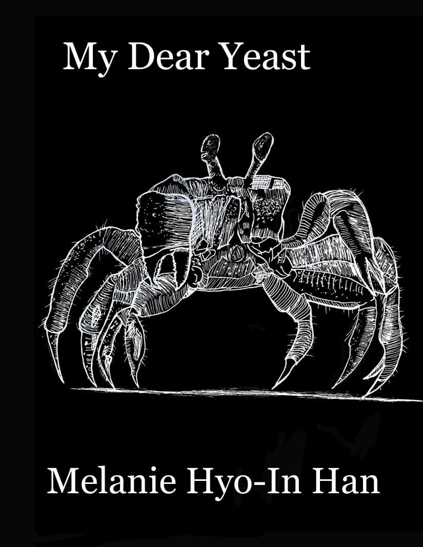 Cover of My Dear Yeast